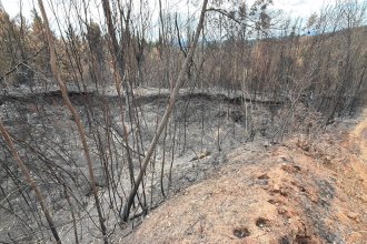 WhatsApp Image 2026-01-30 at 14.42.40.jpeg